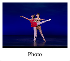 フォトギャラリー