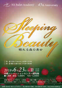 A4たて_表面 [nsballet]